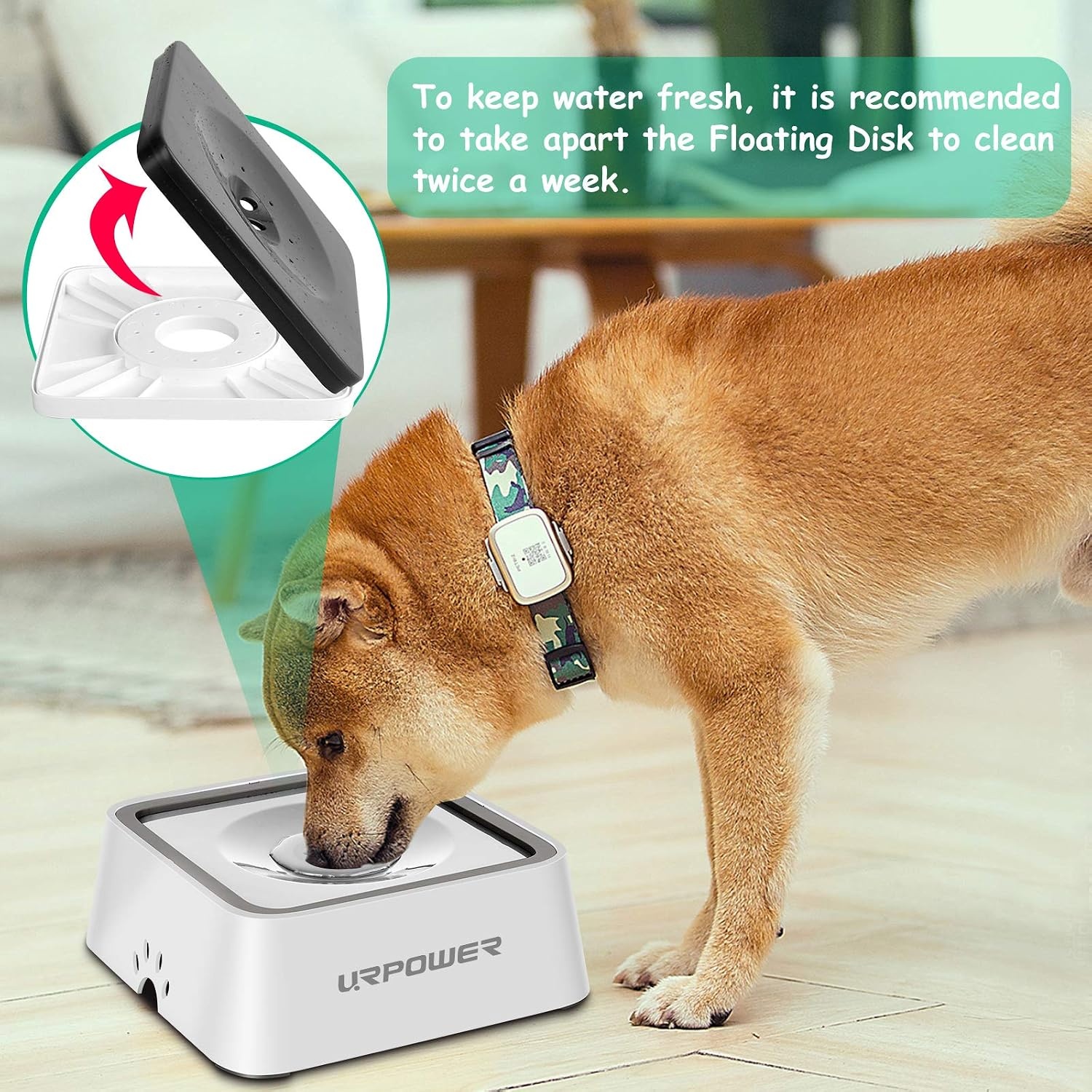 image:imageURPOWER 25L Dog Water Bowl 85oz Large Capacity Dog Bowls No Spill Pet Water Dispenser for Messy Drinkers Splash Proof Slow Feeder Vehicle Carried Travel Bowl for Dogs Cats ampPetsWhite