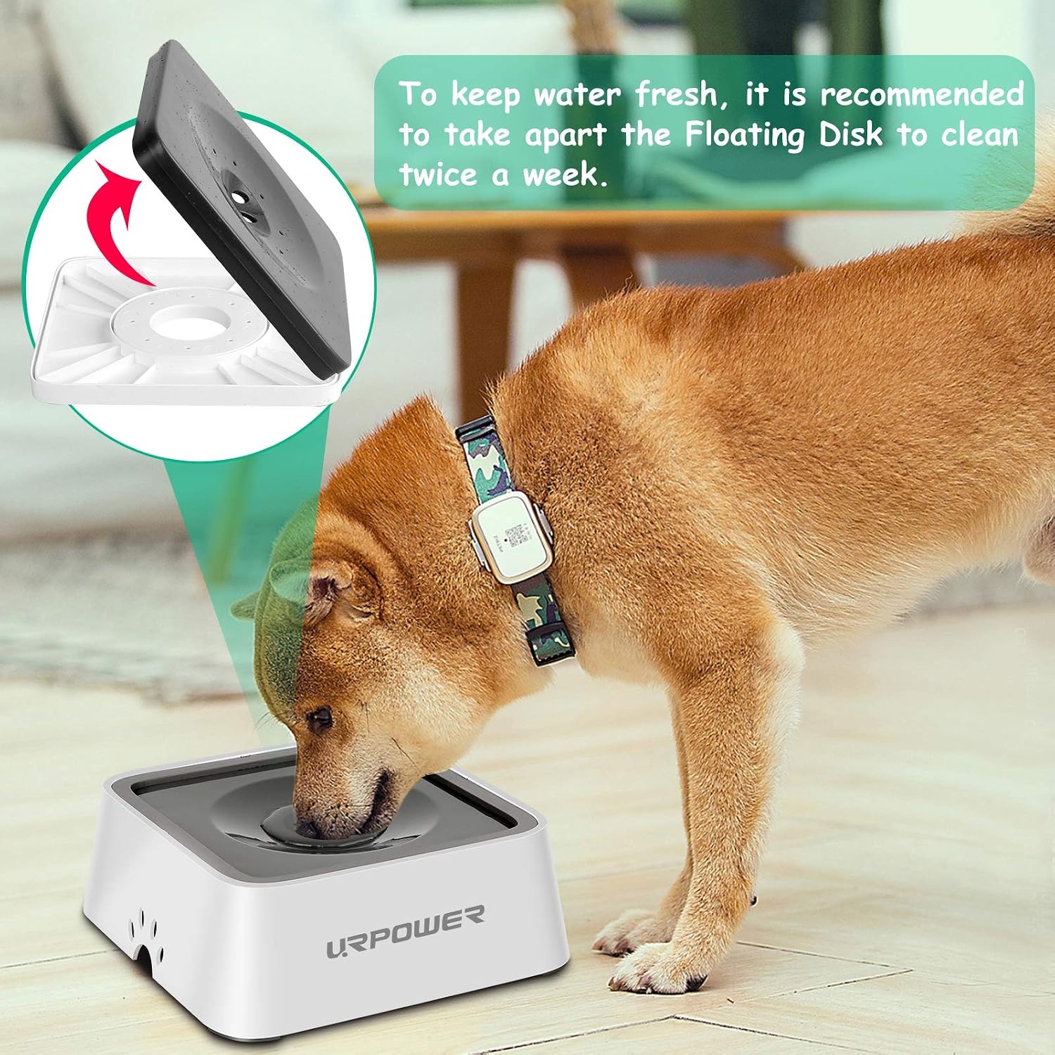 image:imageURPOWER 25L Dog Water Bowl 85oz Large Capacity Dog Bowls No Spill Pet Water Dispenser for Messy Drinkers Splash Proof Slow Feeder Vehicle Carried Travel Bowl for Dogs Cats ampPetsGrey