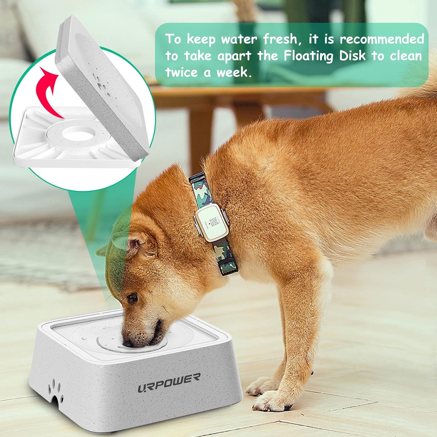 image:imageURPOWER 25L Dog Water Bowl 85oz Large Capacity Dog Bowls No Spill Pet Water Dispenser for Messy Drinkers Splash Proof Slow Feeder Vehicle Carried Travel Bowl for Dogs Cats ampPetsLight Gray