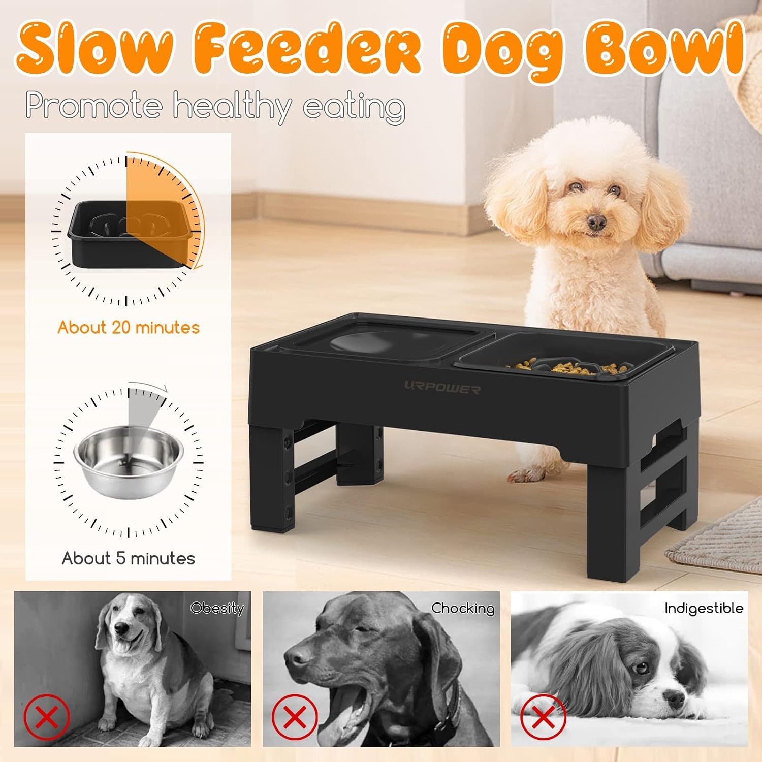 image:imageURPOWER 2in1 Elevated Slow Feeder Dog Bowls with NoSpill Water Bowl 4 HeightAdjustable Raised Dog Bowls NonSlip Food and Water Bowls with Stand for Small Medium Large Dogs Cats and PetsBlack