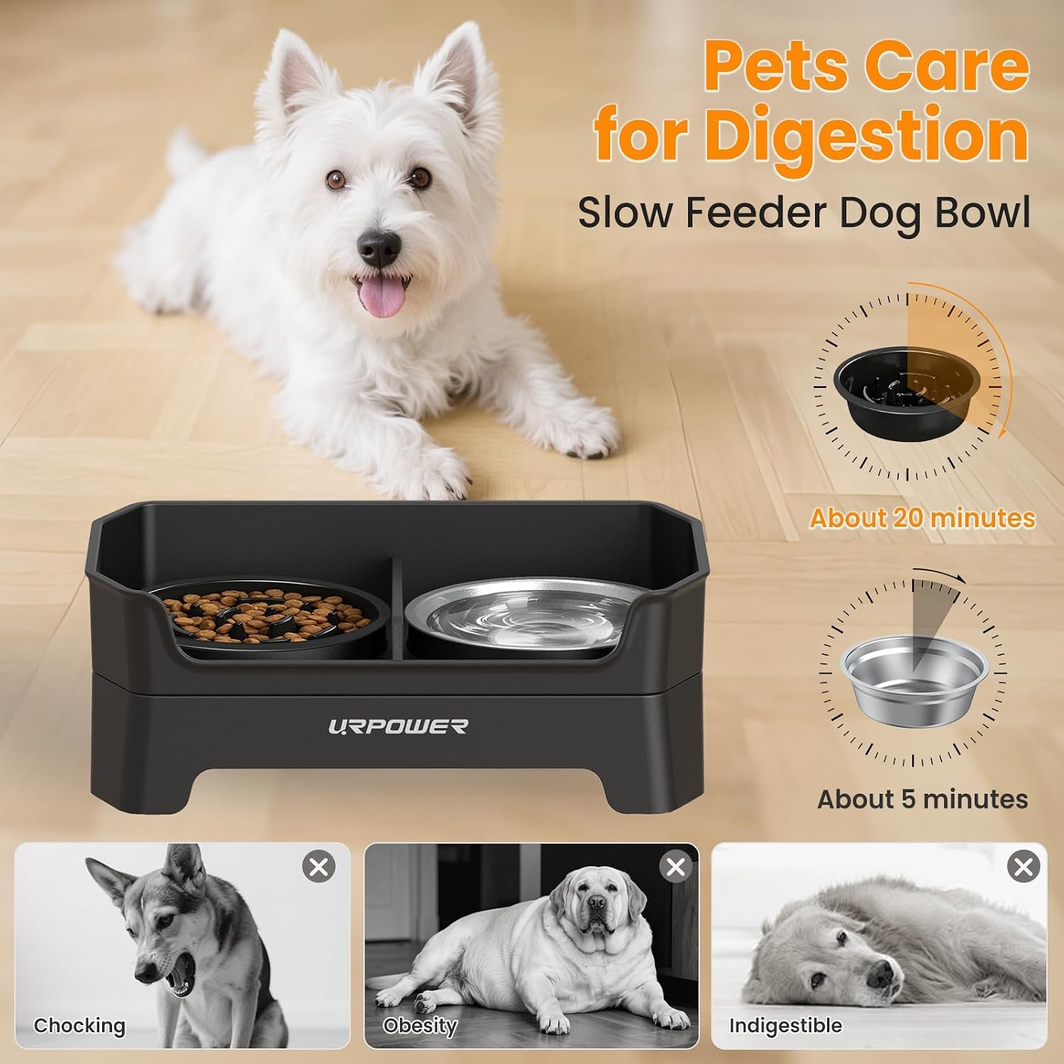 image:imageURPOWER 3in1 Elevated Dog Bowls Mess Proof Double Deck 4 Height Adjustable Raised Stand with 2 Stainless Steel Food Bowls amp Licking Plate for Small Medium amp Large DogsMatte Black