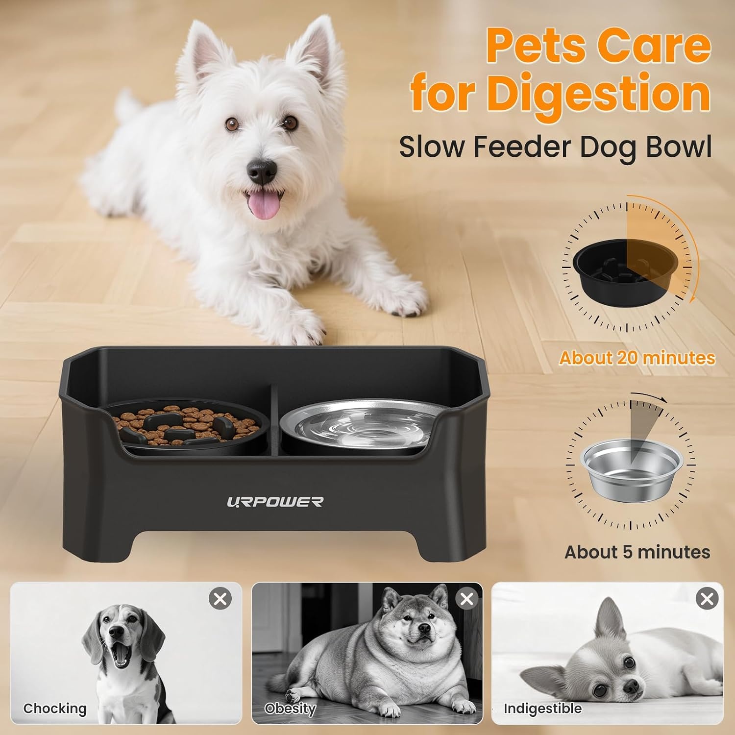 image:imageURPOWER Mess Proof Elevated Dog Bowls 4 Height Adjustable Raised Stand with No Spill Water Bowl and Slow Feeder Dog Bowls NonSlip Food and Water Bowl Set for Small Medium amp Large DogsJet Black