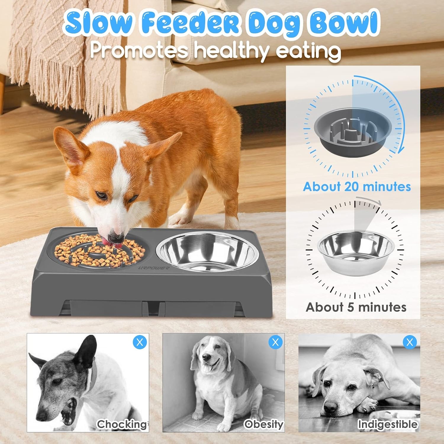 image:imageURPOWER Raised Dog Bowls 4 Height Adjustable Elevated Bowl Stand with Stainless Steel Water Bowl NonSlip Dog Food Bowls Stand for Small Medium Large Dogs and PetsDark Grey