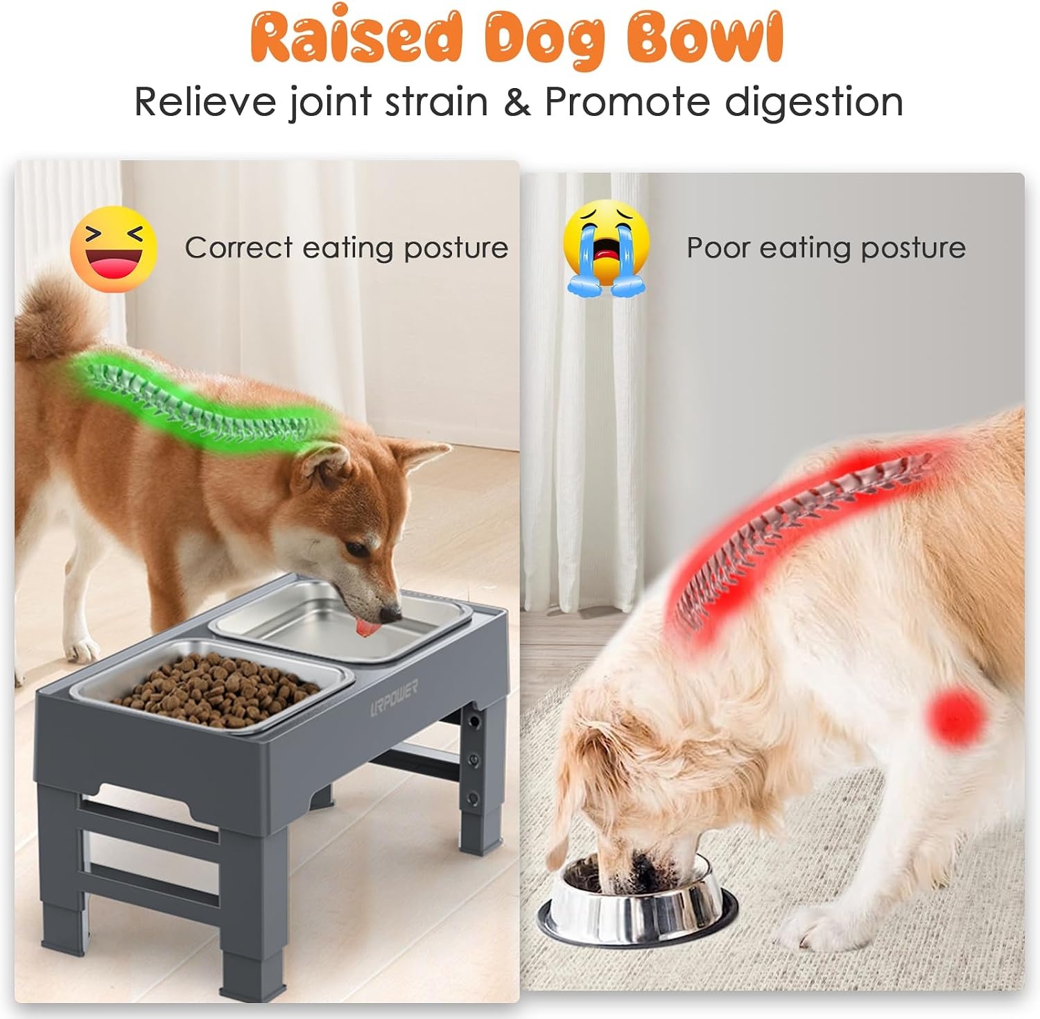 image:imageURPOWER Raised Dog Bowls 4 Height Adjustable Elevated Bowl Stand with Stainless Steel Water Bowl NonSlip Dog Food Bowls Stand for Small Medium Large Dogs and PetsSteel Grey
