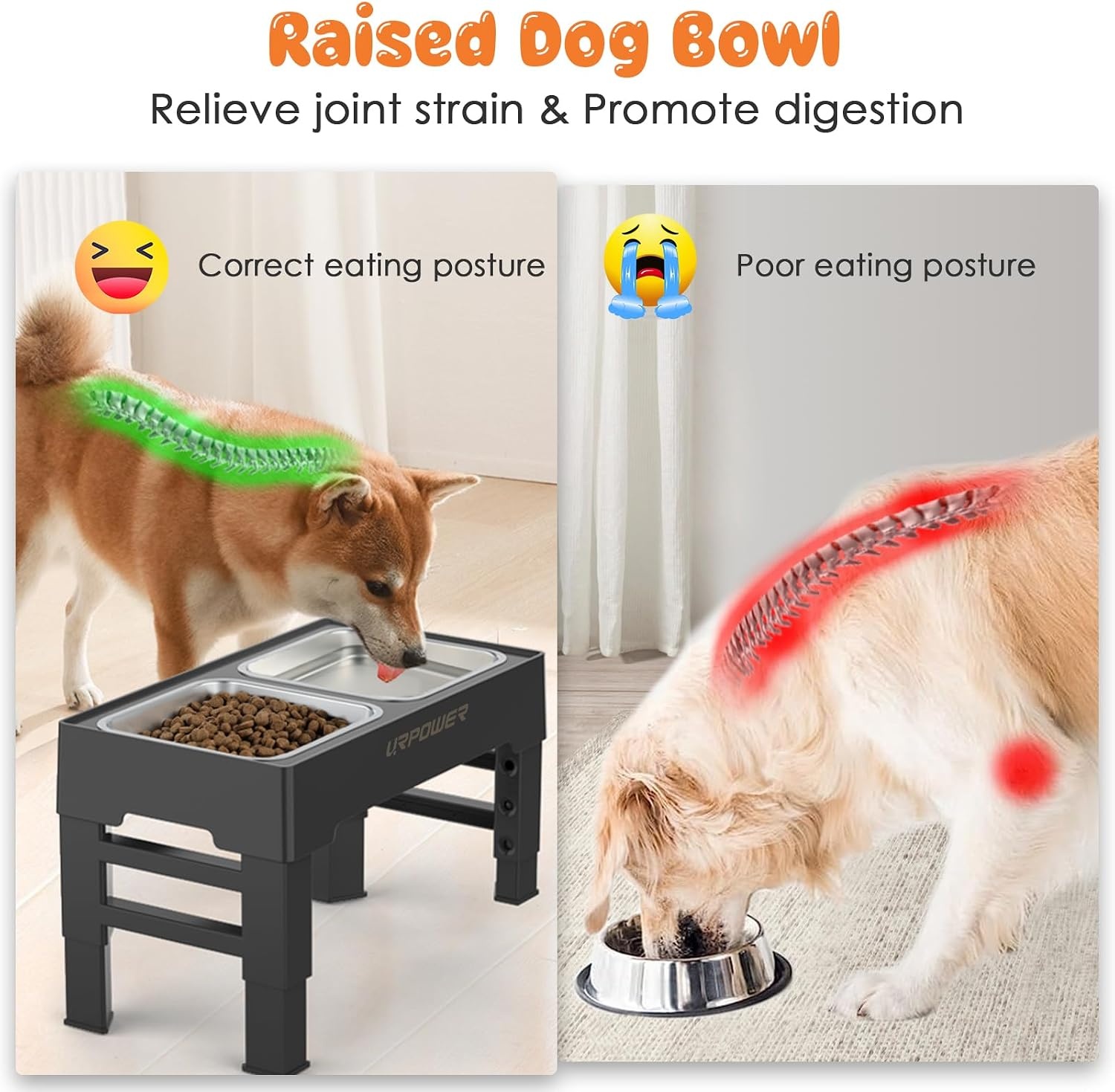 image:imageURPOWER Raised Dog Bowls 4 Height Adjustable Elevated Bowl Stand with Stainless Steel Water Bowl NonSlip Dog Food Bowls Stand for Small Medium Large Dogs and PetsCarbon Black