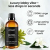 URPOWER 100ml Hotel Collection Diffuser Oil Inspired by The Ritz-Carlton Hotel Scent – Fruity Floral Amber Fragrance Oil, Diffuser Essential Oil for Ultrasonic and Waterless Diffusers