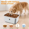 URPOWER 2 Pack 1.25 Gallon Large Dog Water Bowl, Thickened Stainless Steel Dog Water & Food Bowls with Non-Slip Mat, Spill-Proof Metal Pet Bowl Set for Medium, Large, X-Large Dogs, Indoor/Outdoor Use(1.65 Gallon)