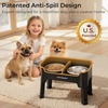 URPOWER 3-in-1 Elevated Dog Bowls – Mess Proof Double Deck 4 Height Adjustable Raised Stand with 2 Stainless Steel Food Bowls & Licking Plate for Small, Medium & Large Dogs(Black)