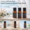 URPOWER Hotel Collection Diffuser Oil – 6 Premium Scents for Diffusers 10ml/0.34 fl oz Essential Oils Set for Diffusers for Home – Inspired by Baccarat Westin My Way Pure White Tea and Other Hotel