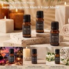 URPOWER Hotel Collection Diffuser Oil – 6 Premium Scents for Diffusers 10ml/0.34 fl oz Essential Oils Set for Diffusers for Home – Inspired by Baccarat Westin My Way Pure White Tea and Other Hotel