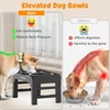 URPOWER Raised Dog Bowls 4 Height Adjustable Elevated Bowl Stand with Stainless Steel Water Bowl Non-Slip Dog Food Bowls Stand for Small Medium Large Dogs and Pets(Matte Black)