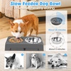 URPOWER Raised Dog Bowls 4 Height Adjustable Elevated Bowl Stand with Stainless Steel Water Bowl Non-Slip Dog Food Bowls Stand for Small Medium Large Dogs and Pets(Dark Grey)