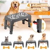 URPOWER Raised Dog Bowls 4 Height Adjustable Elevated Bowl Stand with Stainless Steel Water Bowl Non-Slip Dog Food Bowls Stand for Small Medium Large Dogs and Pets(Grey)