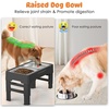 URPOWER Raised Dog Bowls 4 Height Adjustable Elevated Bowl Stand with Stainless Steel Water Bowl Non-Slip Dog Food Bowls Stand for Small Medium Large Dogs and Pets(Carbon Black)