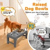 URPOWER Raised Dog Bowls 4 Height Adjustable Elevated Bowl Stand with Stainless Steel Water Bowl Non-Slip Dog Food Bowls Stand for Small Medium Large Dogs and Pets(Grey)