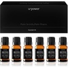 URPOWER Hotel Collection Diffuser Oil – 6 Premium Scents for Diffusers 10ml/0.34 fl oz Essential Oils Set for Diffusers for Home – Inspired by Baccarat Westin My Way Pure White Tea and Other Hotel